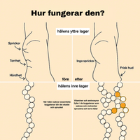 Fot Kräm